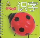 ʶ�ֱ�����2��