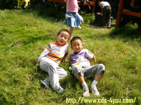 �׶�԰����ͼƬ,�׶�԰���òο�,�׶�԰��������