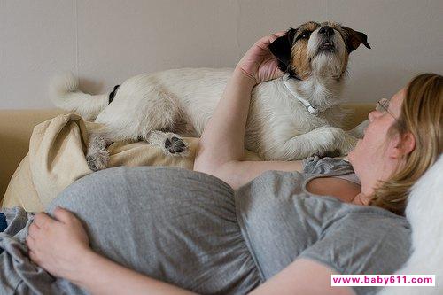 怀孕后你还会继续养宠物吗?