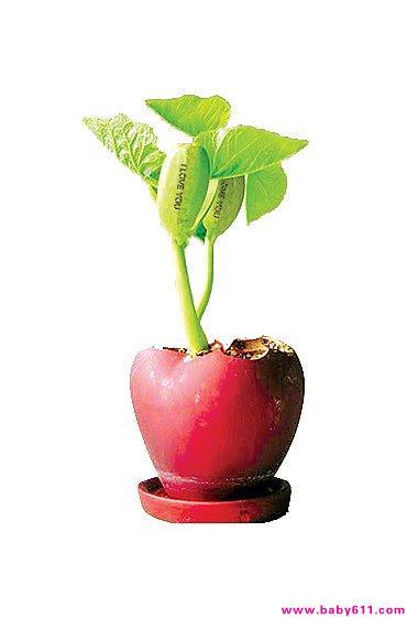 ������Ϊ���׳����Ļ�����