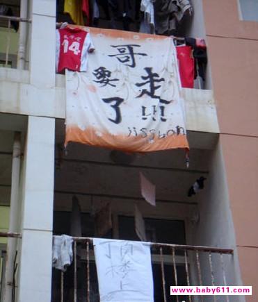 被子哥在网上疯狂发帖