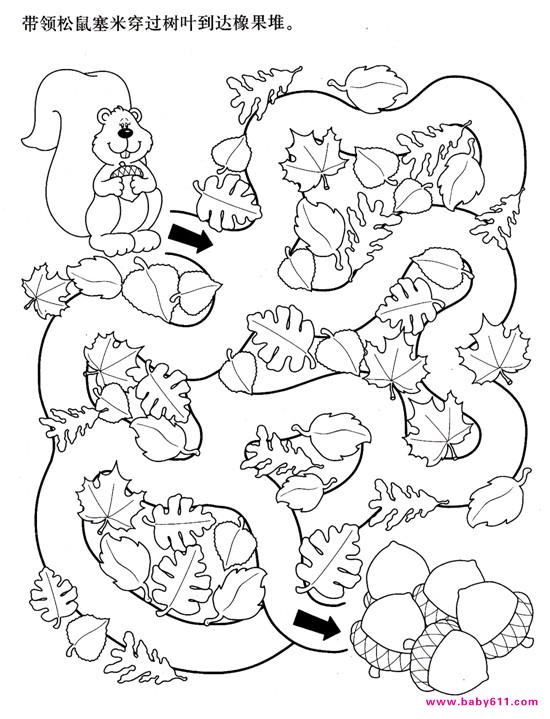 带领松鼠塞米穿过树叶到达橡果堆