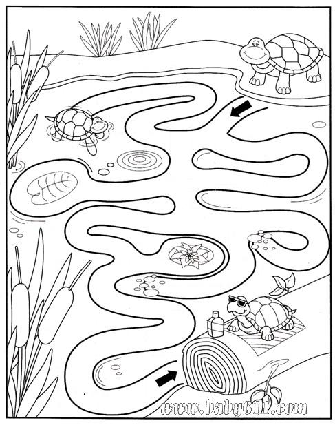 帮助乌龟找到晒太阳的路