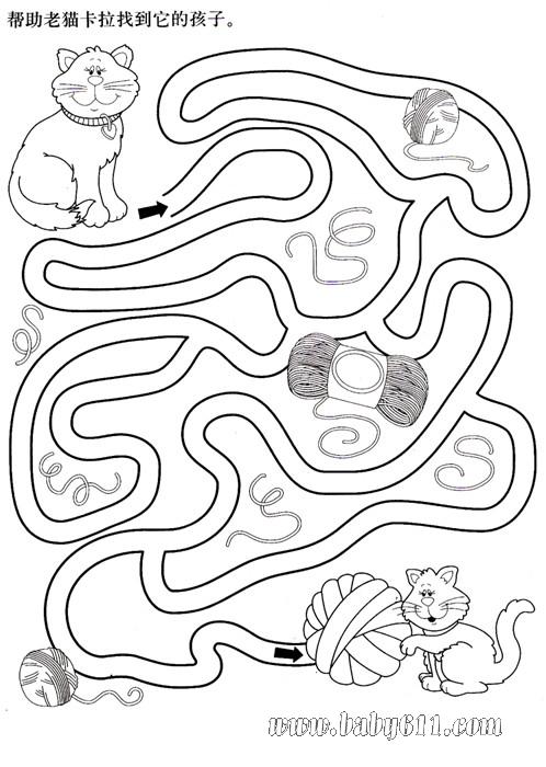 帮助老猫找到它的孩子