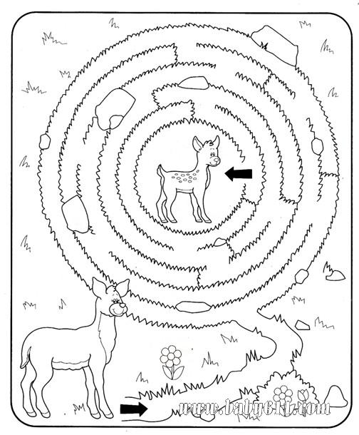 帮助母鹿找到小鹿