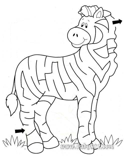 沿着斑马身上的条纹走出迷宫