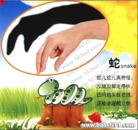 �׶�԰��Ӱ��Ϸ����