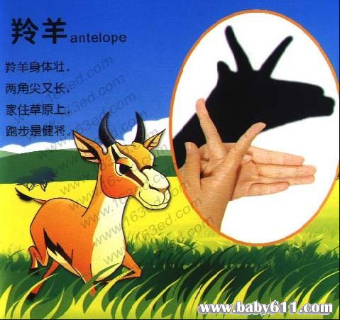 �׶�԰��Ӱ��Ϸ������