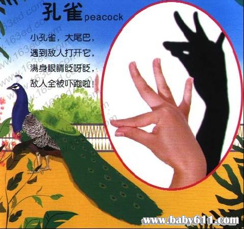 �׶�԰��Ӱ��Ϸ����ȸ