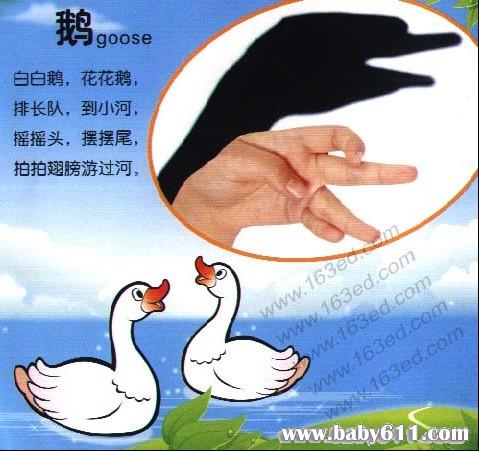 �׶�԰��Ӱ��Ϸ����