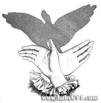 �׶�԰��Ӱ��Ϸ����ӥ