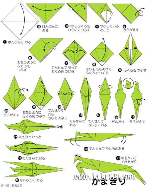 ��ͯ�ֹ���ֽ����� [��ѧ���]