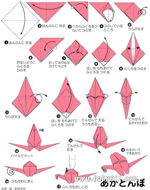 ��ͯ�ֹ���ֽ������ [��ѧ���]