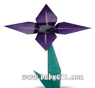 �׶��ֹ���������ɫ�����Ȼ�