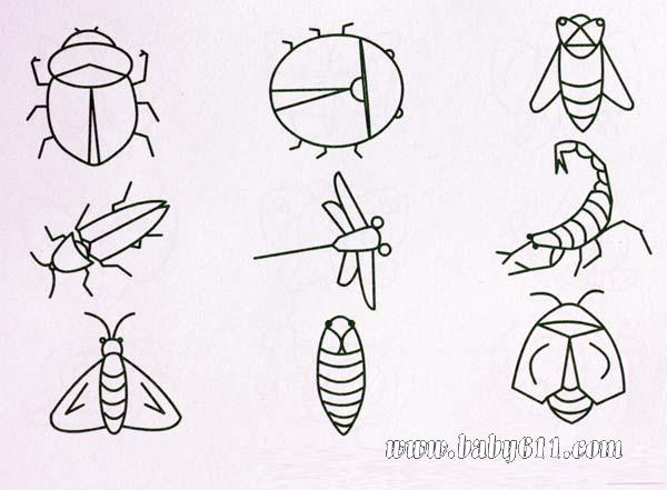 ��ʻ������ѵ�����