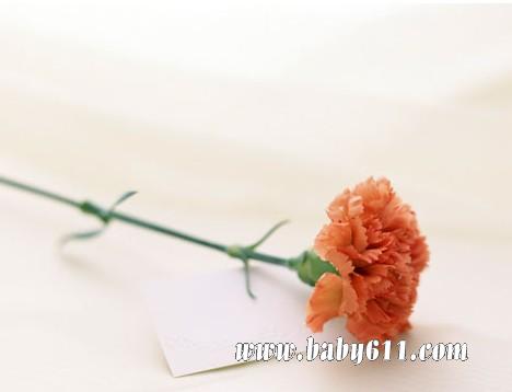 ĸ�׽�����֮������ܰ