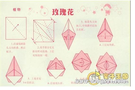 �׶��ֹ���ֽ��õ�廨