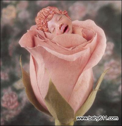 2014��������������ȫ