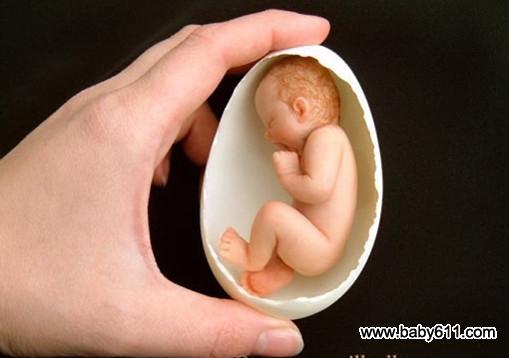 �ɹ�������ܰ����ʿ ף�����