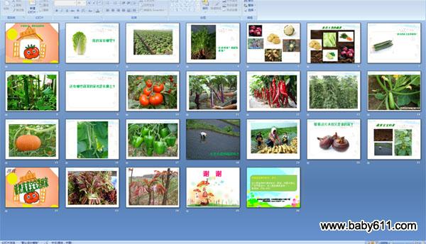 �߲˱����ļ�