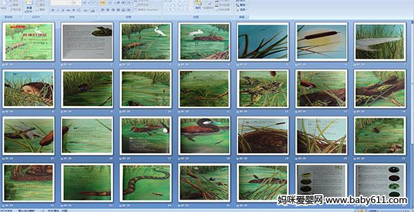 ���ѵ��ھ�