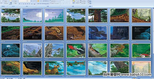 ԭʼɭ�ֵ�����