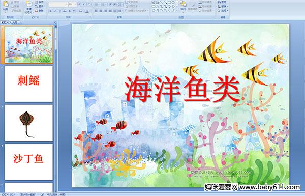 �׶�԰С���ѧ�μ�������������