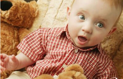 ���������罻������С����