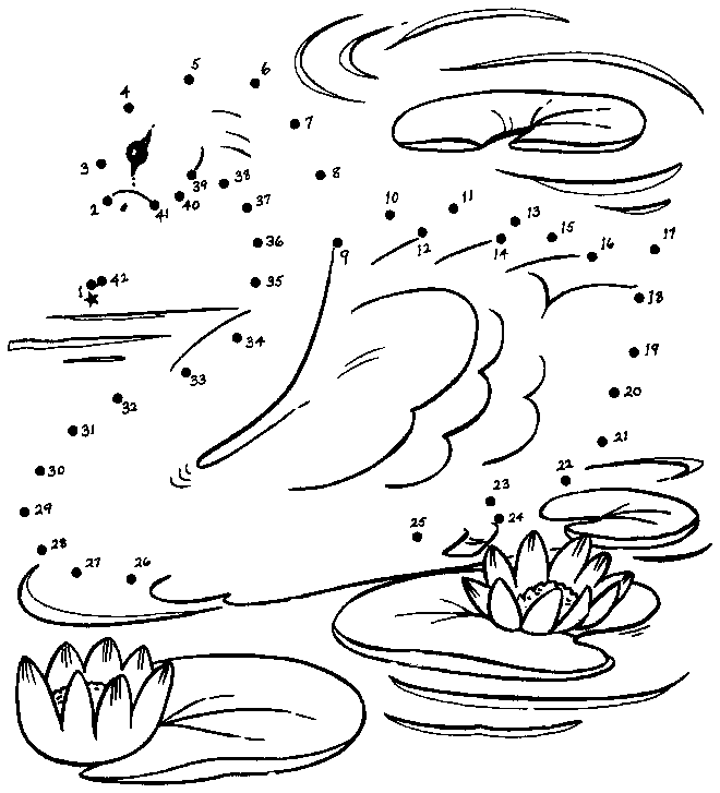 �������ߣ����