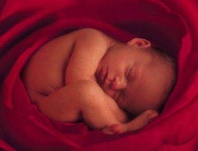 ����������ʲô