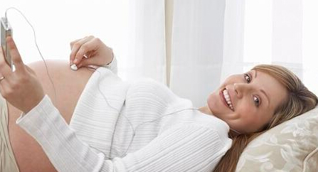 ����������̥����Ҫ������������