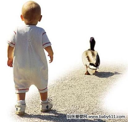 上幼儿园前训练宝宝平衡协调的活动