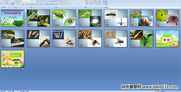 ����˭�ı���