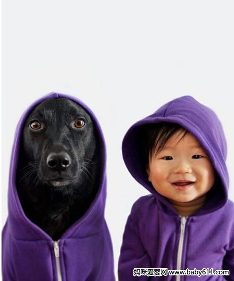 ����С�޲¡�