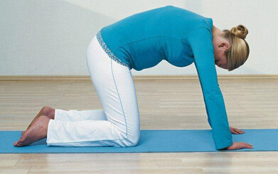 �����ڽ������