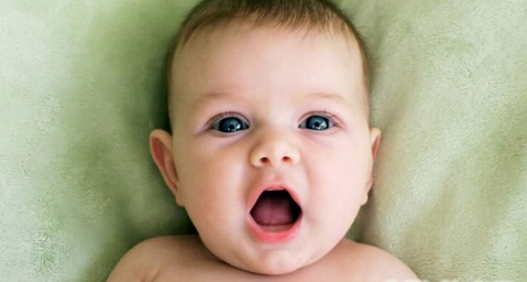 ������ڴ���α���Ԥ��