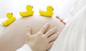 心音胎教理论依据——论“胎儿不可教”