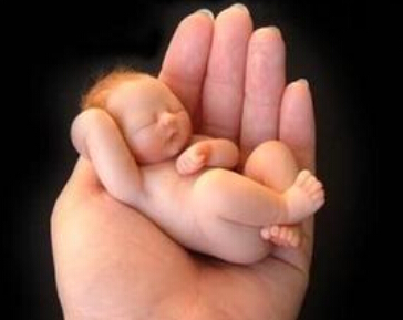 ���������Ӫ��ι����ע������