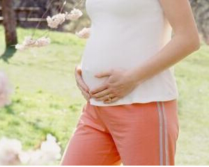 ���������Ԥ������Ȼ����