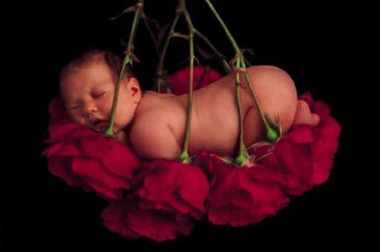 �����������û��ʳ������