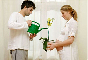 孕早期营养的摄入影响胎教质量