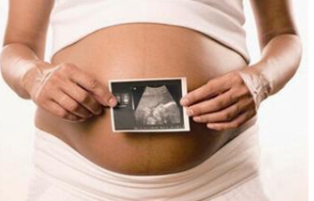 ����ÿ��ָ���ϵ̥������