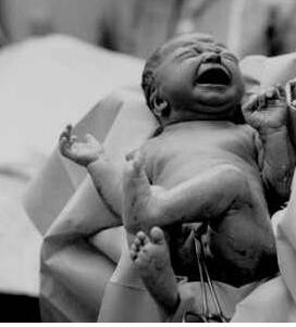 ��ĸ�ض��õ������������