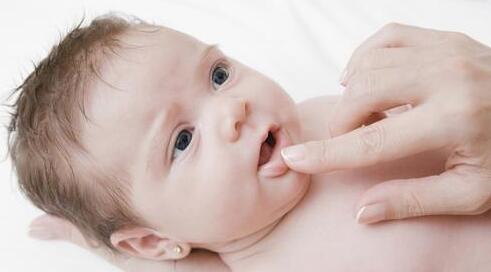 ����������С����