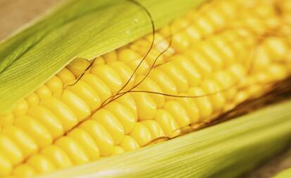 �и���ʲô�ã����6���߲����潡��