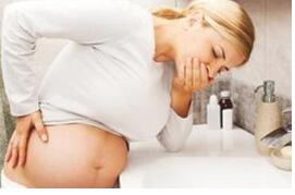 ������ֹ������_������������ʳ����