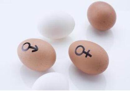 生儿子生女儿由百万年前基因病毒决定?