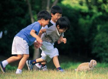 不能自理会被劝退