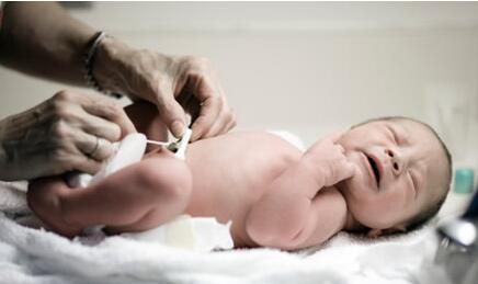 ע��Ԥ���������İ�Ѫ֢