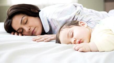 �������в�������������